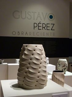 there are many vases on display in the room with words above them that read gusttavo perez obraregientee