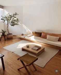 a living room filled with furniture and a plant on top of a wooden coffee table