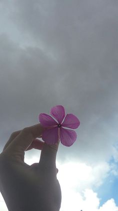 a person holding up a pink flower in front of a cloudy sky with the sun behind them