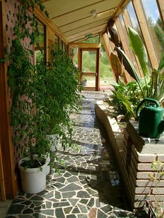 the walkway is lined with plants and potted plants