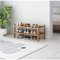 a shoe rack with several pairs of shoes on it next to a potted plant