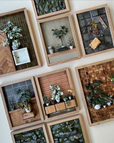 there are many plants in wooden frames on the wall