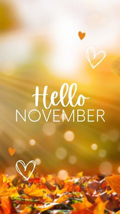 the words hello november written in white on a background of autumn leaves and sun rays