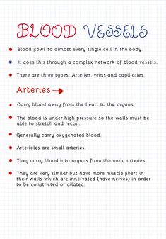 the blood vessel and its functions are labeled in red, white, and blue text