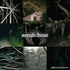 four different images with the words satane forest