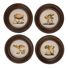 four framed pictures of different animals in brown frames