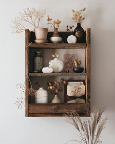 a shelf filled with vases and plants on top of a wall next to a potted plant