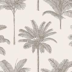 Taj Beige Palm Trees Wallpaper from Design Department by Brewster Cool White Backgrounds, Palm Trees Wallpaper, Trees Wallpaper, Wallpaper For Sale, Drops Patterns, Tropical Wallpaper, Design Department, Tree Wallpaper, Tropical Theme