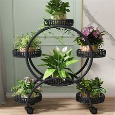 Practical Plant Cart:The flower stand is made of top-grade metal iron construction with fine workmanship. Which is durable and sturdy, avoid bending and fading. Thicker frame structure for good support and stability. Strong welding and spray painting ensures reliable use.With waterproof black paint coating.This plant stand featured with rolling wheels with brake, convenient to move around and stay stable.Each tray hold up to 8kg.Tray with space great for drainage and ventilation.Our plant cart s Multi Tier Plant Stand, Tropical Courtyard, Plant Stand Metal, Tier Plant Stand, Plant Stand Table, Indoor Plant Shelves, Corner Plant, Work Decor, Indoor Greenhouse