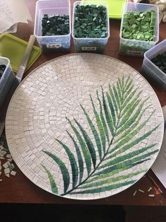 a white plate topped with lots of green plants and small plastic containers filled with rocks