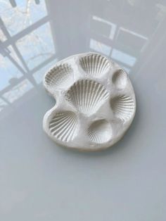 a white ceramic dish with four shells on the bottom and one shell in the middle