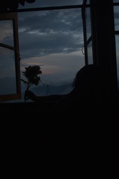 a person holding a bouquet of flowers in front of a window at night with the sun setting