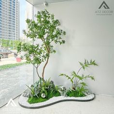 Tiểu cảnh cây giả - ATZ DECOR Wood Plants, Flower Pot Garden, Flower Planters, Types Of Flowers, Types Of Plants, Flower Arrangement, Garden Pots, Flower Pots