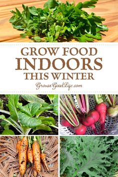 some vegetables and herbs are shown with the words grow food indoors this winter on them