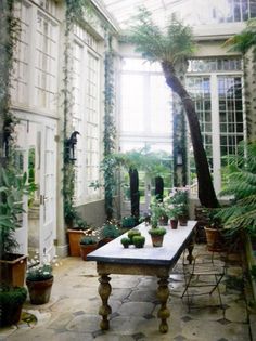 a table surrounded by potted plants in a room