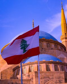 a flag flying in front of a large building with a dome on it's side