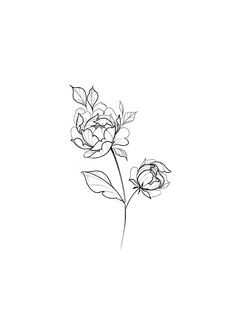 Single Peony Tattoo, Minimalistic Peony Tattoo, Fine Line Peony Tattoo Design, Peony Line Art Tattoo, Single Line Peony Tattoo, Nina Tattoo, Japanese Peony Tattoo, Peony Flower Tattoos, Work Logo