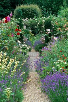 a garden filled with lots of different types of flowers