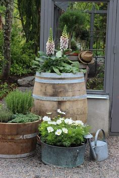 three wooden barrels filled with flowers and plants