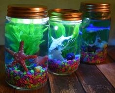 three jars filled with fish and plants on top of a wooden table next to each other