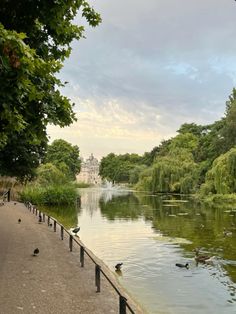 ducks are swimming in the water near trees and bushes on either side of a path