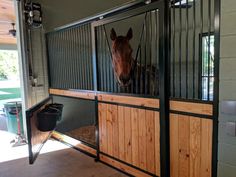 a horse in a stable looking through the gate and into the stall with it's head sticking out