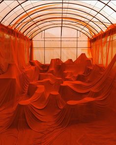 an orange room with sheer curtains covering the walls