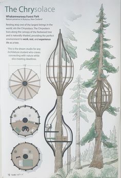 Solarpunk House Design, Solarpunk Interior, Nature Architecture Concept, Eco Architecture Concept, Tree House Concept, Solarpunk Architecture, Treehouse Architecture, Utopian Architecture, Unusual Architecture