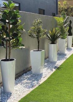 a row of white planters sitting on top of a grass covered field next to a wall