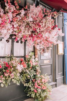 pink flowers are growing on the side of a building