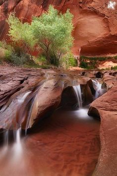 a small waterfall flowing down the side of a red rock cliff into a pool of water