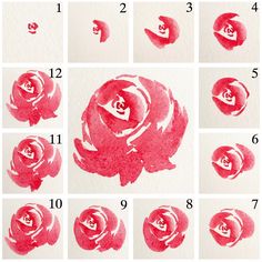 step by step instructions on how to paint a rose