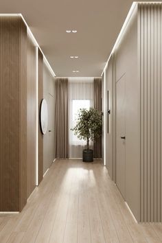 an empty hallway with a potted plant in the center and curtains on either side