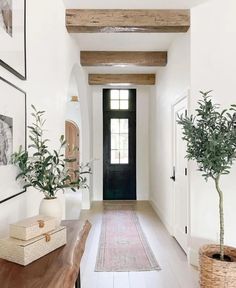 an entry way with a rug, potted plant and pictures on the wall above it