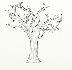 a drawing of a tree with no leaves