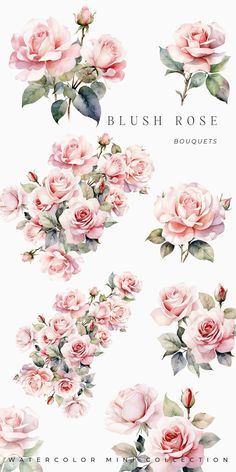 watercolor flowers and leaves are shown in this graphic art workbook, which includes pink roses