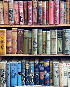 many books are lined up on the shelves