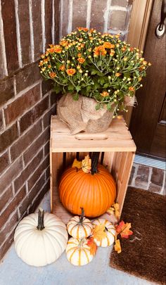 pumpkins and gourds are sitting on the porch