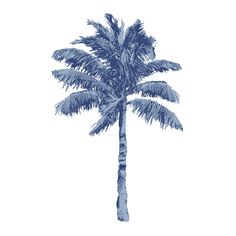 a blue palm tree on a white background