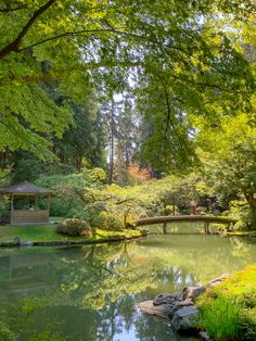 a small bridge over a pond surrounded by trees