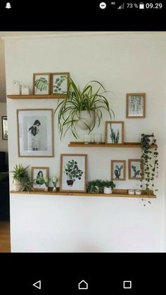 some plants and pictures are hanging on the wall