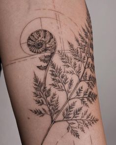 a woman's arm with a tattoo on it and a plant in the middle