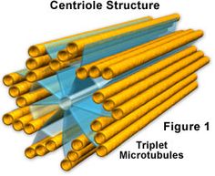 several different types of metal rods are shown in this graphic above the text, which is also labeled