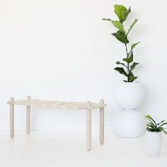 three white vases with plants in them sitting on the floor next to each other