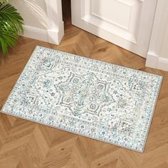 a rug on the floor in front of a door with a potted plant next to it