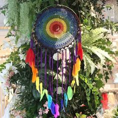 a multicolored dream catcher hanging from a tree in front of flowers and greenery