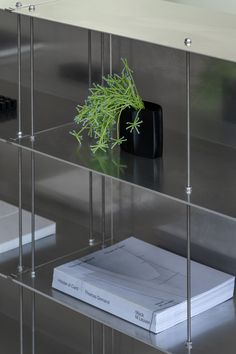 a book on a shelf with a plant in the middle and other books behind it