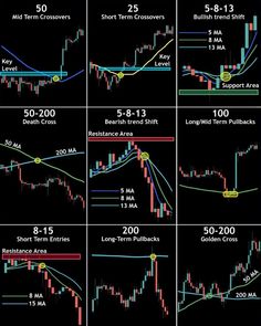 the forex trading system with different levels and positions to use it in various ways