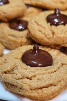 close up of a Fresh baked Spelt Peanut Butter Blossom cookie topped with a melted dark chocolate Kiss candy Spelt Bread Recipe, Spelt Flour Recipes, Peanut Butter Dark Chocolate, Chocolate Kiss Cookies, Peanut Butter Kiss, Peanut Butter Blossom, Peanut Butter Kiss Cookies, Peanut Butter Blossom Cookies