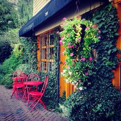 two red chairs sitting next to each other in front of a building with plants growing on it